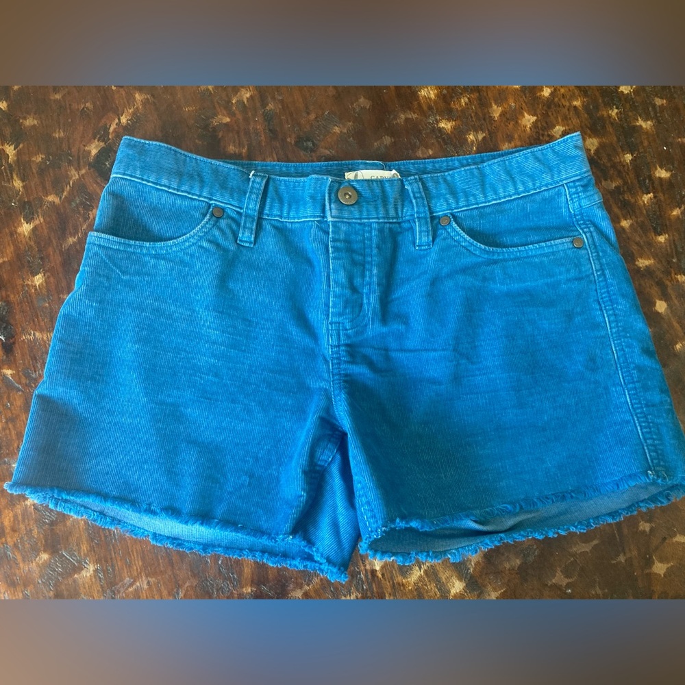 Carve designs Oahu corduroy short 4” size 2 -EUC! FITS LIKE A SIZE 6!